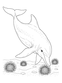 A realistic dolphin coloring page showing a bottlenose dolphin foraging near sea urchins on the sea floor.