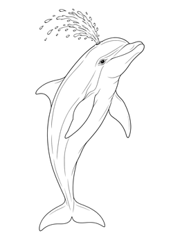 A dolphin coloring page showing a bottlenose dolphin spouting water from its blowhole.