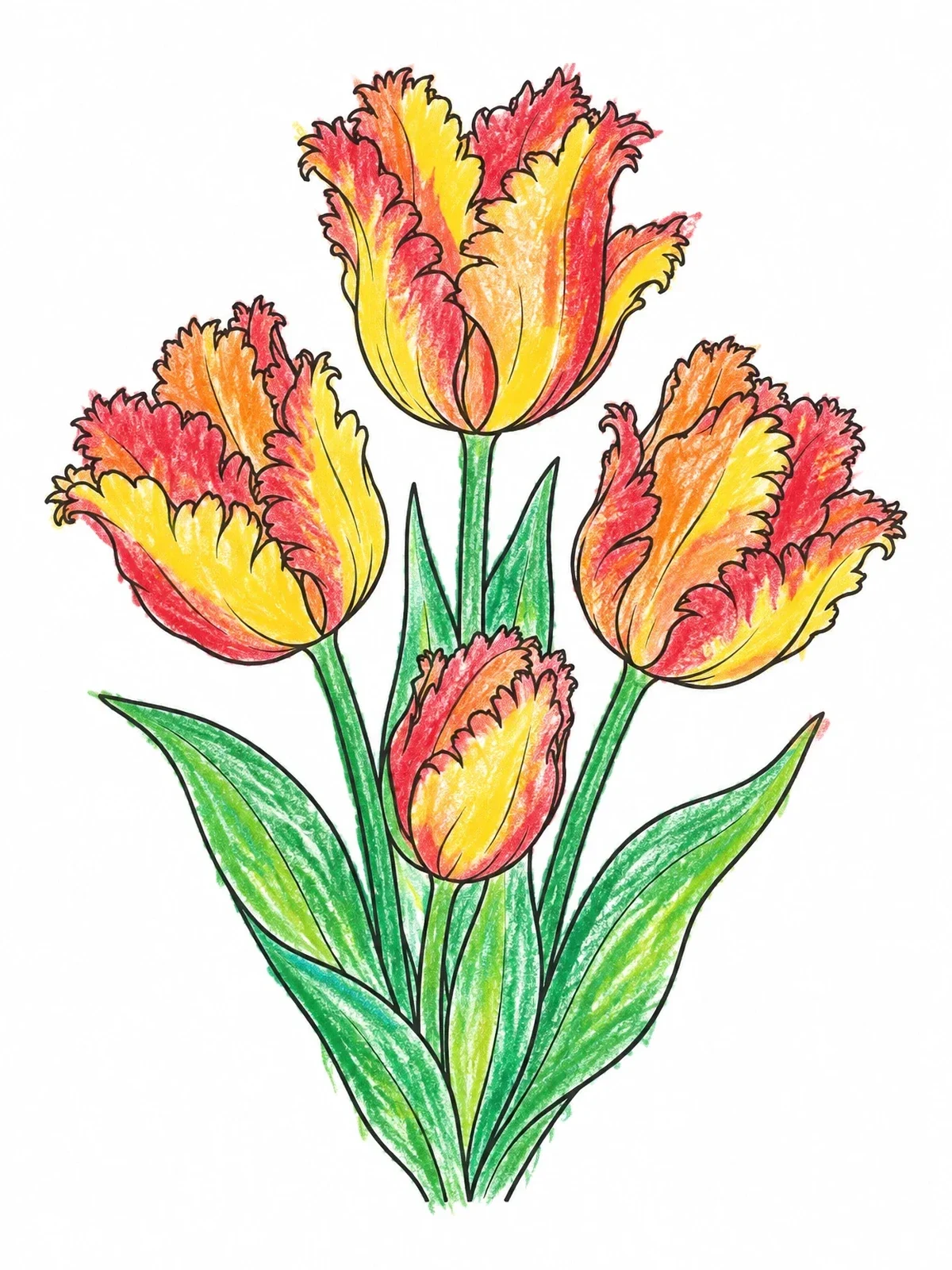 Colored example of the Bouquet Of Fringed Parrot Tulips coloring page