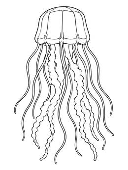 A detailed box jellyfish coloring page with long tentacles drifting down.