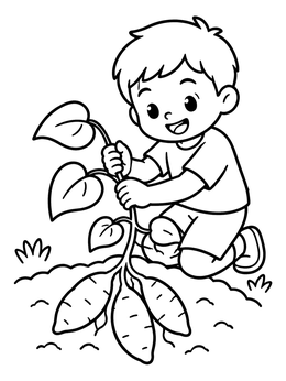 Free printable Boy Harvesting Sweet Potatoes In Garden coloring page