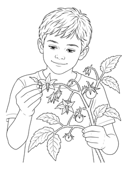 A young boy holds a flowering branch in this realistic tomato coloring page.