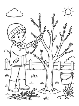 Free printable Pruning A Young Fig Tree coloring page