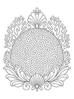 Detailed brain coral coloring page framed by sea branches and decorative shells.