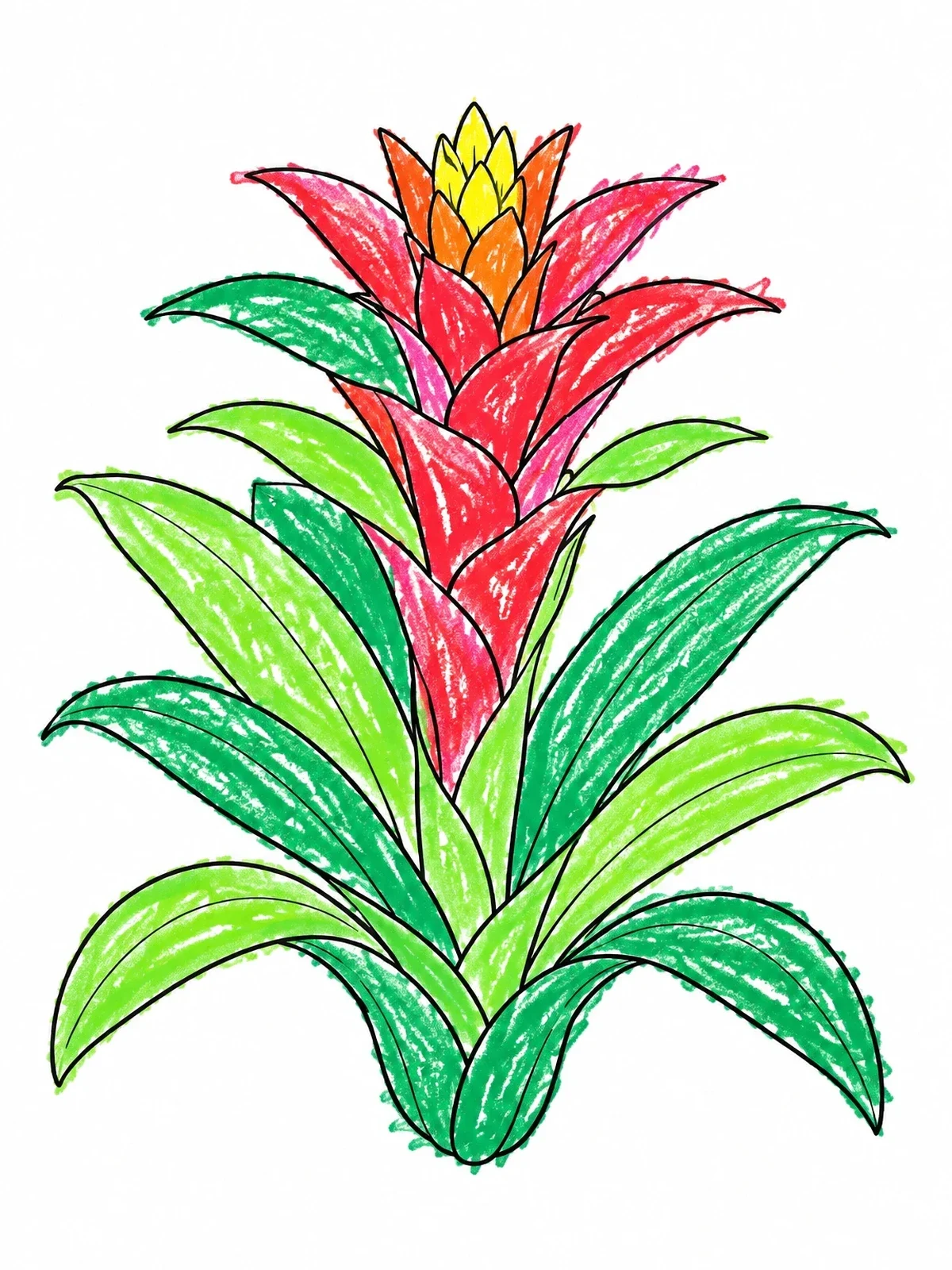 Colored example of the Bromeliad Bloom Line Art coloring page