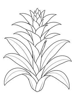 Free printable Bromeliad Bloom Line Art coloring page