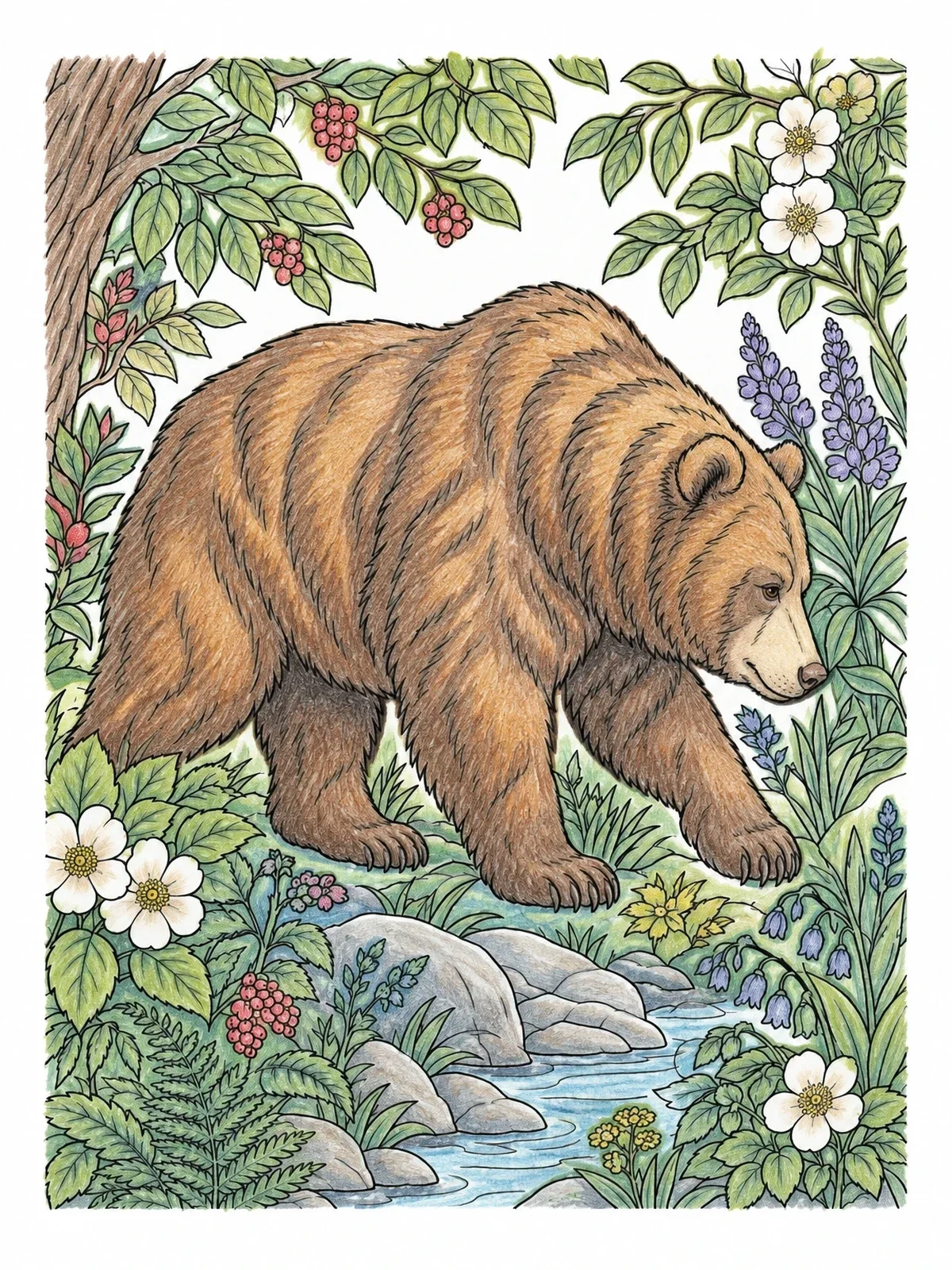 Colored example of the Brown Bear Walking Through Forest coloring page