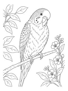 Free printable Budgie Perched On Flowering Branch coloring page