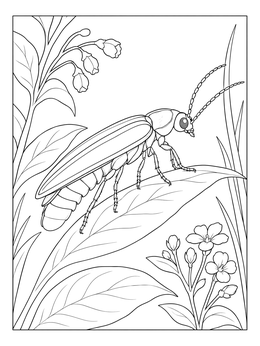 A detailed bug coloring page showing a firefly perched on foliage beside small wildflowers.