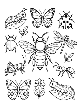 Detailed bug coloring page featuring a honey bee, butterflies, beetles, and caterpillars.