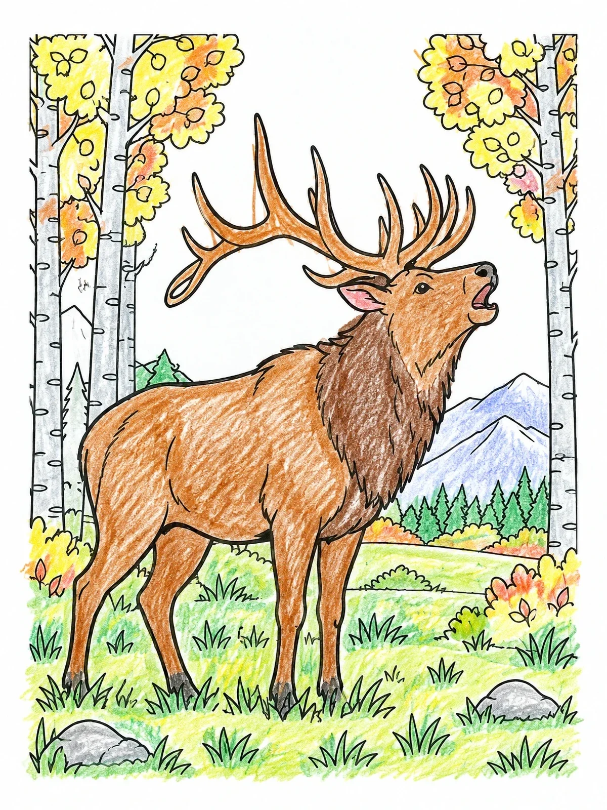 Colored example of the Bugling Bull Elk In Forest Meadow coloring page