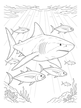 A detailed bull shark coloring page featuring tuna fish and ocean sunbeams.