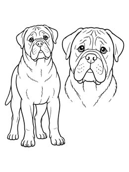 Free printable Bullmastiff Dog And Head Portrait coloring page
