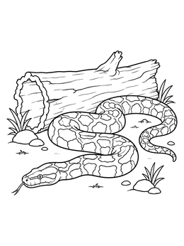 Free printable Burmese Python By A Hollow Log coloring page