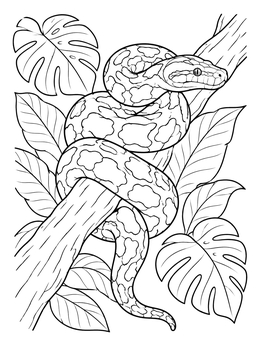 Free printable Burmese Python On Jungle Branch coloring page