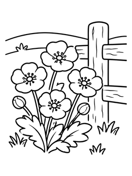 Free printable Buttercup Flowers By Rustic Fence coloring page