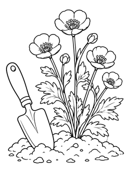 A buttercup flower coloring page showing fresh blooms planted in soil beside a garden trowel.