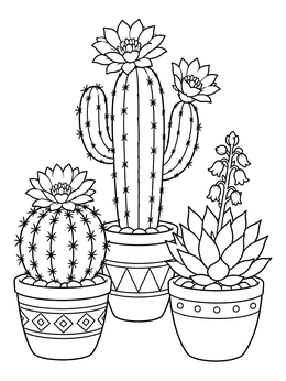 A trio of flowering succulents on this cactus coloring page with patterned pots.