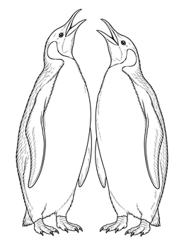 A realistic penguin coloring page featuring two emperor penguins calling with raised beaks.