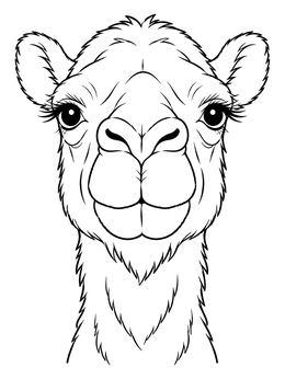 A camel coloring page featuring a detailed front portrait of a camel with long eyelashes.