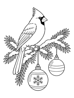 A festive cardinal perches on a snowy pine branch in this christmas bird coloring page.