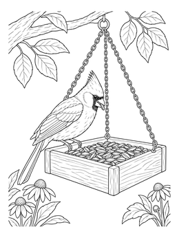 A detailed cardinal coloring page featuring a bird perched on a hanging wooden feeder full of seeds.