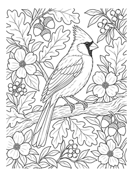 A detailed cardinal coloring page showing the bird perched among oak leaves, acorns, and flowers.