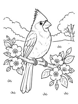 Free printable Cardinal On A Flowering Branch coloring page