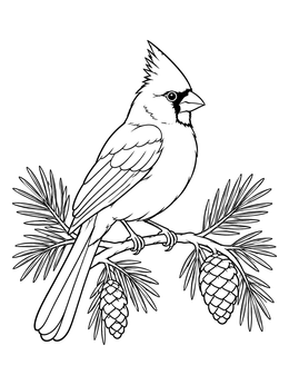 A detailed cardinal coloring page showing the crested bird perched on a pine bough with pinecones.