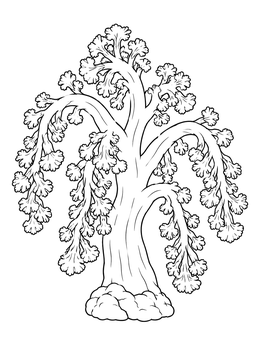 Detailed coral coloring page featuring a graceful carnation tree soft coral.