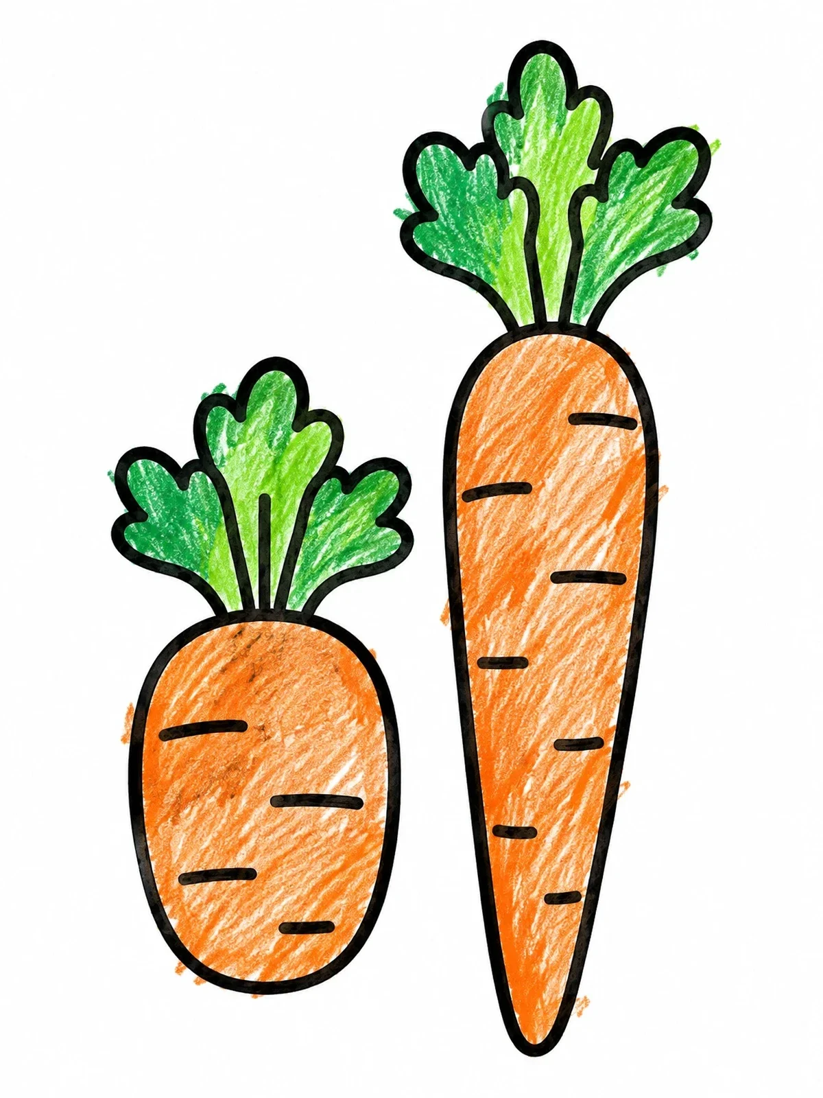 Colored example of the Round Baby Carrot And Slender Carrot coloring page