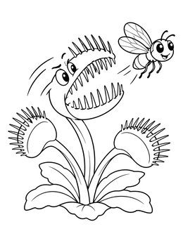 A cartoon venus flytrap coloring page with open jaws snapping playfully at a cheerful flying insect.