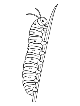A striped caterpillar climbs a grass blade in this caterpillar coloring page.