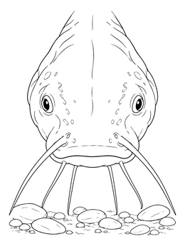 Front view of a fish in this realistic catfish coloring page swimming above riverbed pebbles.