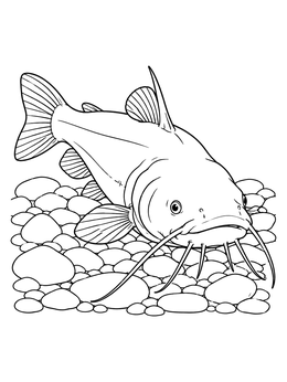 A detailed catfish coloring page showing the fish resting on smooth riverbed stones.