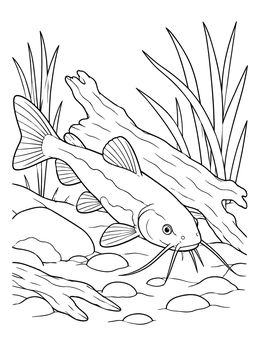 A detailed catfish coloring page showing the fish swimming past river reeds and submerged driftwood.
