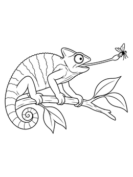 A detailed chameleon coloring page showing a lizard on a branch extending its tongue toward a fly.