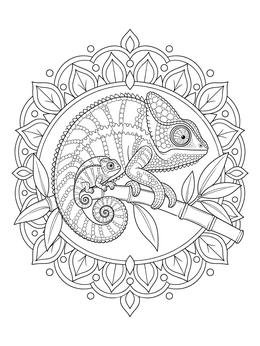 Detailed chameleon coloring page featuring a mother and baby on bamboo inside an ornate circular frame.