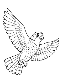 Free printable Cheerful Soaring Falcon coloring page