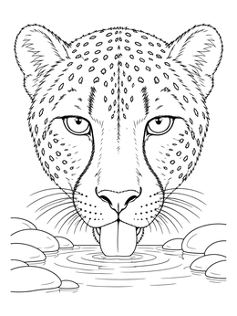 A detailed cheetah coloring page featuring a close-up of a cheetah lapping water.