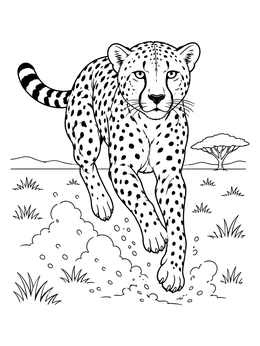 Cheetah Sprinting Across the Savanna coloring page