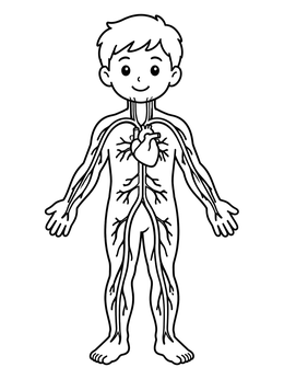 Free printable Child Body And Blood Circulation coloring page