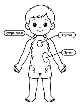 Free printable Child Immune System Diagram coloring page