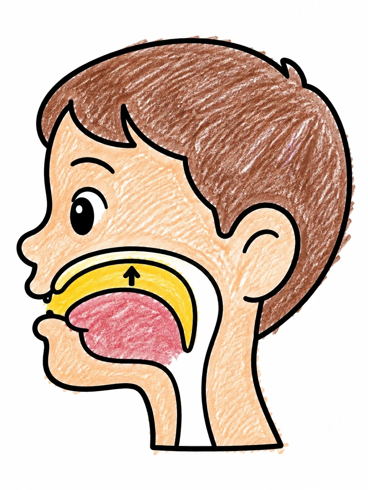 Colored example of the Child Head Profile Speech Diagram coloring page