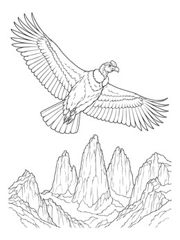 An Andean condor gliding above rugged mountain peaks in this chile coloring page.