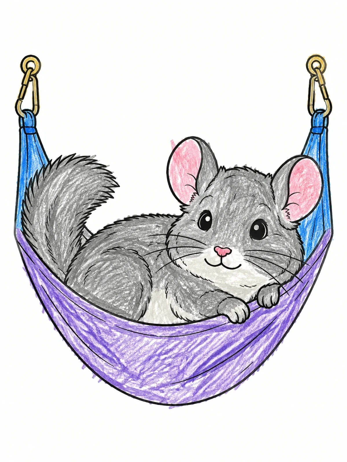 Colored example of the Cozy Chinchilla In A Hanging Hammock coloring page