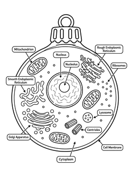 An animal cell ornament in this christmas science coloring page with clearly labeled organelles.
