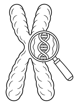 A chromosome under a magnifying glass in this scientific dna coloring page.