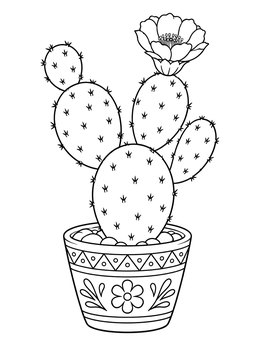A blooming potted prickly pear cactus featured in this cinco de mayo coloring page.