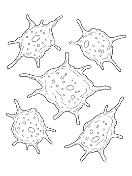 Detailed blood cells in this circulatory system coloring page.